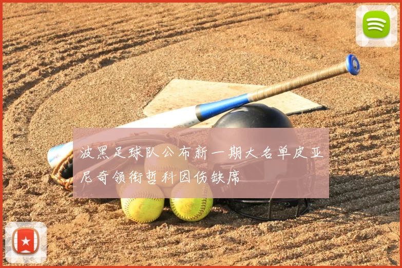 波黑足球队公布新一期大名单皮亚尼奇领衔哲科因伤缺席