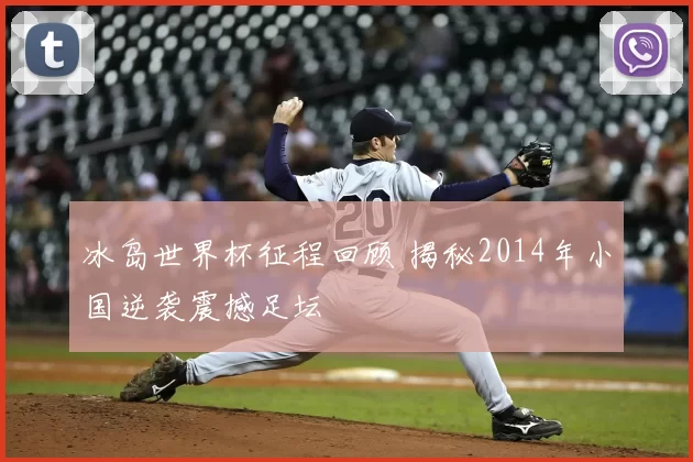 冰岛世界杯征程回顾 揭秘2014年小国逆袭震撼足坛