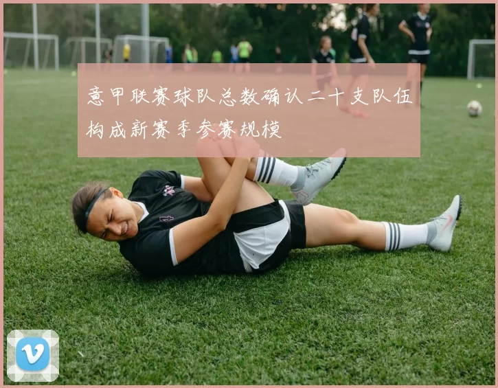 意甲联赛球队总数确认二十支队伍构成新赛季参赛规模