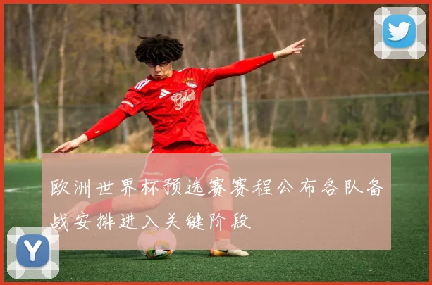 欧洲世界杯预选赛赛程公布各队备战安排进入关键阶段