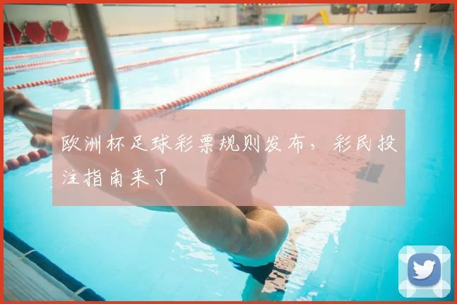 欧洲杯足球彩票规则发布，彩民投注指南来了
